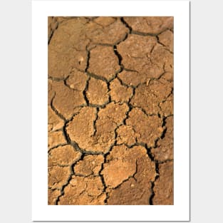 Dried soil texture Posters and Art